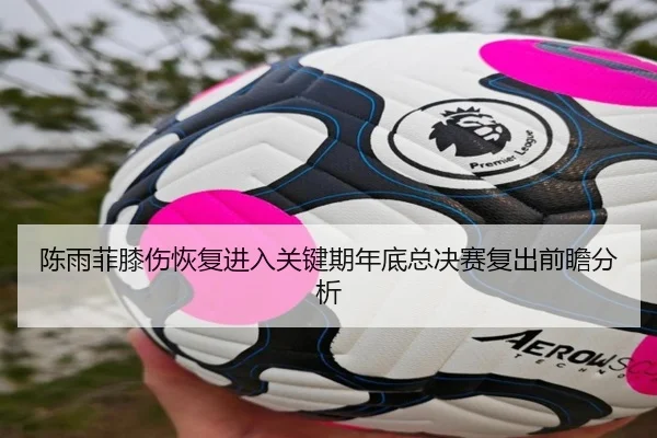 陈雨菲膝伤恢复进入关键期年底总决赛复出前瞻分析